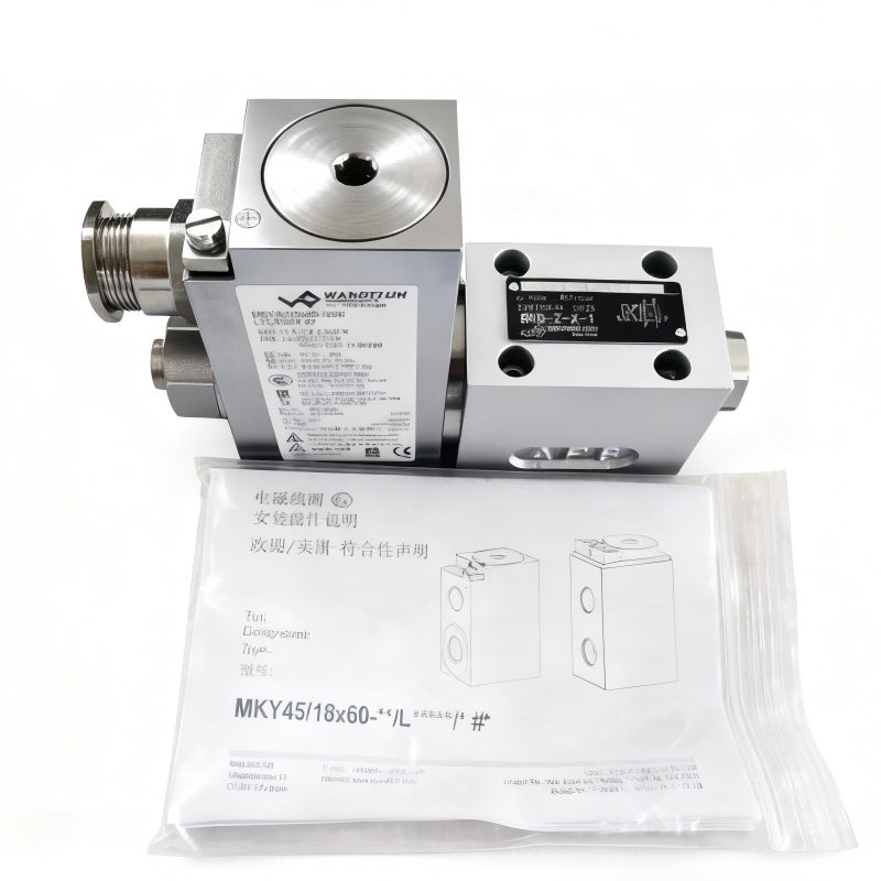 Explosion-Proof Solenoid صمام عكسي BKD-Z-X1 Explosion-Proof Solenoid صمام عكسي BKD-Z-X1